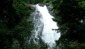 Thusharagiri Waterfalls