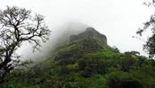 Silent Valley National Park